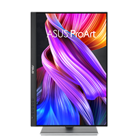 ASUS ProArt PA248CNV 24in Monitor