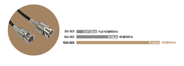 graphic showcasing 12G-SDI BNC connector and the different data rates of 3G, 6G and 12G-SDI