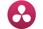 Icon 1