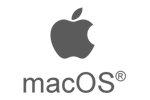 Icon 1