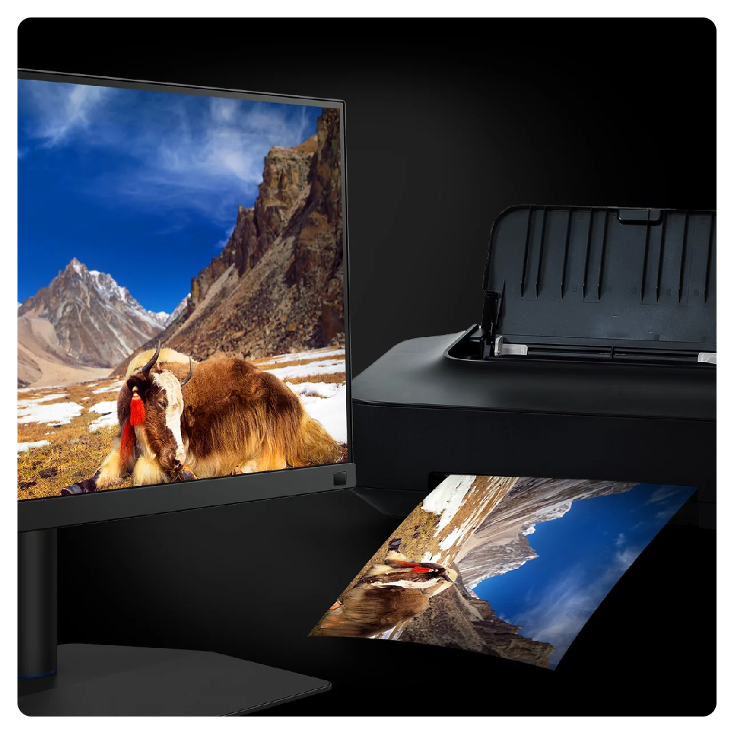 BenQ PhotoVue SW272U 27 4K HDR Monitor