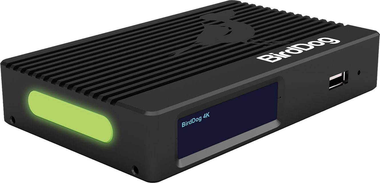 birddog 4k