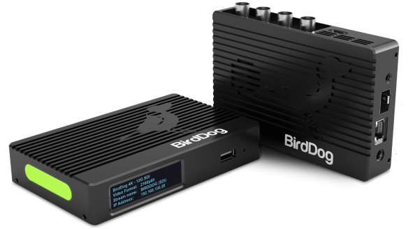 birddog 4k