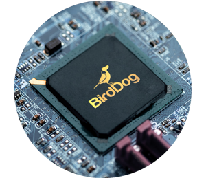 BirdDog A300 Gen 2 NDI PTZ Camera