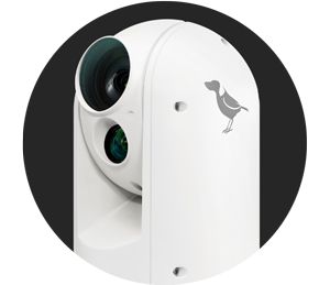 BirdDog A300 Gen 2 NDI PTZ Camera