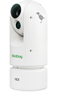 BirdDog A300 Gen 2 NDI PTZ Camera