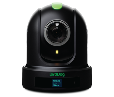 BirdDog P110 NDI PTZ Camera