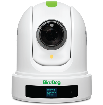 BirdDog P110 NDI PTZ Camera