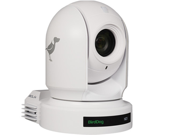 BirdDog P200 NDI PTZ Camera White