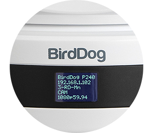 BirdDog P240 NDI PTZ Camera