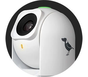 BirdDog P240 NDI PTZ Camera