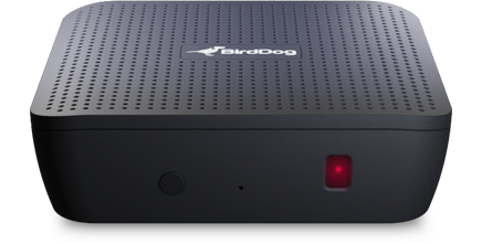 BirdDog Play 4K NDI Player