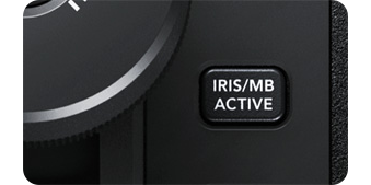 Iris and master black controls