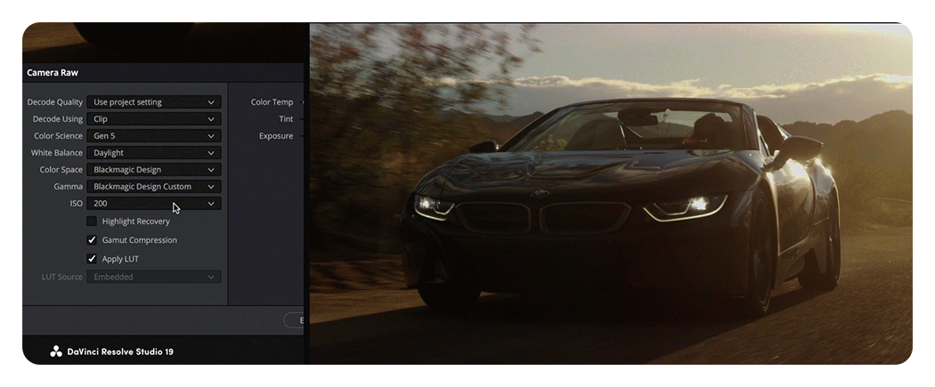 blackmagic pyxis 12k iso adjustment example