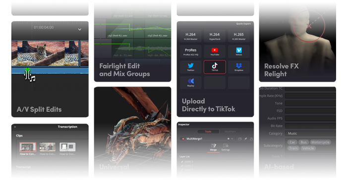 Resolve 18.5 Features