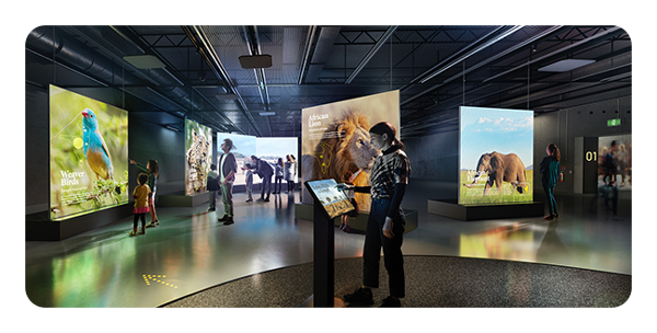 digital screens being controlled using the blackmagic 2110 ip converter