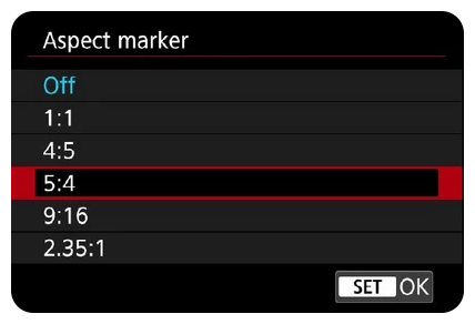 aspect marker interface on the cannon r6 mark ii camera