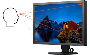 EIZO ColorEdge CS2731 27in Monitor