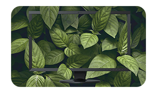 EIZO ColorEdge CS2731 27in Monitor