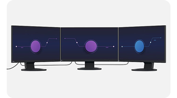 illustation of 3 EIZO EV2490 monitors connected together with USB-C Daisy Chain