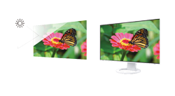 Eizo FlexScan EV2495 Black
