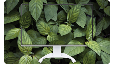 photograph of EIZO monitor surrounded by dense green plant leaves