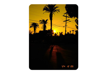 vertical sample image taken with the Fujifilm X half with a time stamp at the bottom
