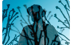 double exposure photograph of man and tall cacti against clear blue sky