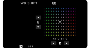 Black screen image of Fujifilm White balance adjustment grid