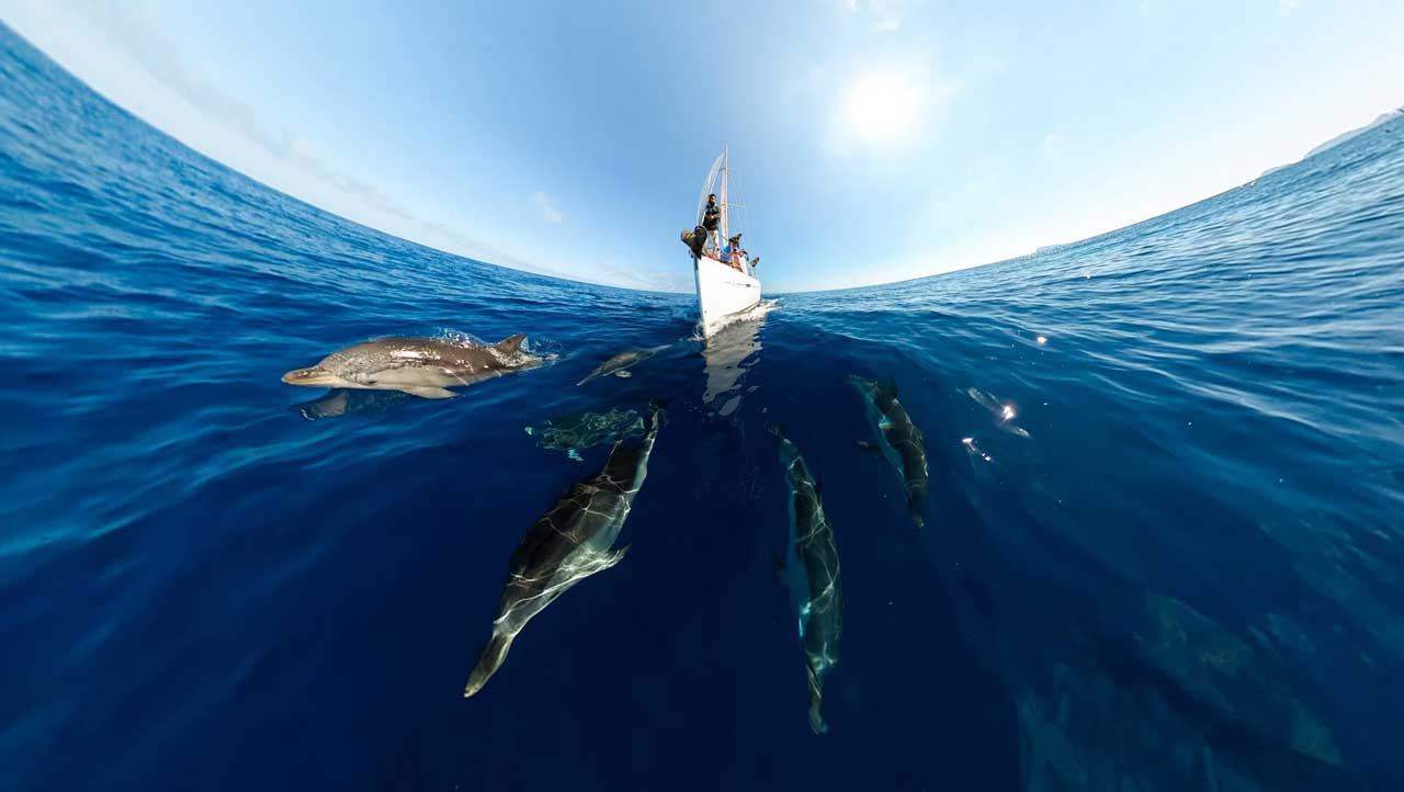 wide angle GoPro Max sample image of dolphins swimming infront of boat in the open ocean under a clear blue sky