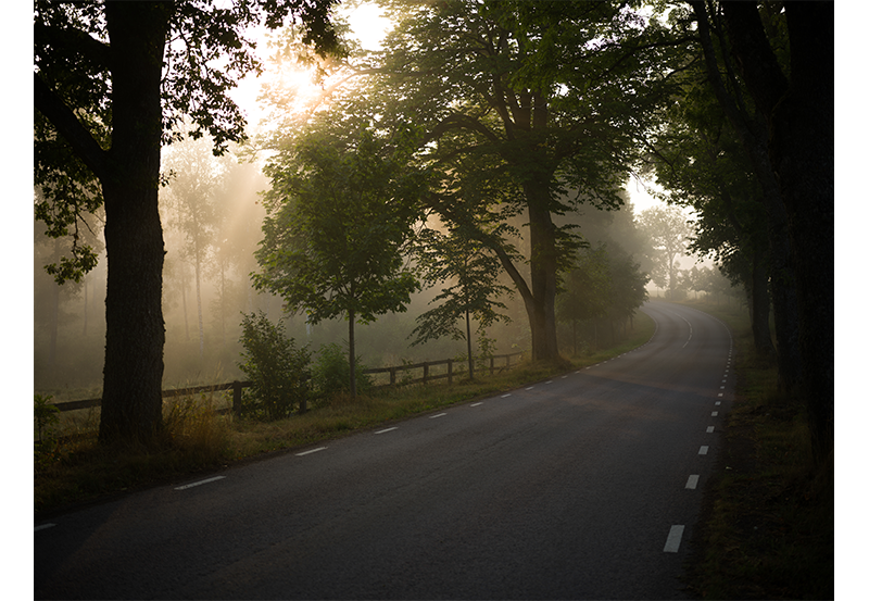 Hasselblad X2D 100C Sample Image of country road surrounded by woodland forest covered with fog