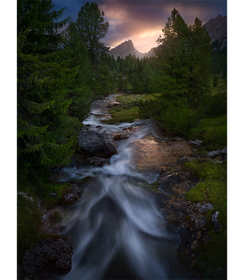 Hasselblad X2D 100C Sample Image long exposure of a river passing throuhg a mountainous forest with tall fern trees