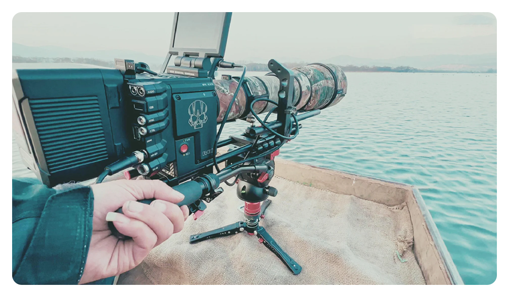iFootage Cobra 3 Monopod Pedal Edition