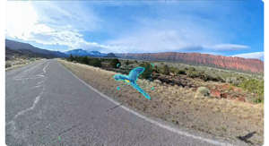 image of blue parrot flying along roadside highlighted with blue focus bracket