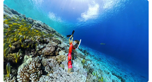 image of person swimming underwater with invisible selfie stick