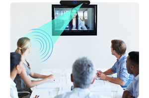 Lumens MS-10 4K Video Conferencing Camera Soundbar