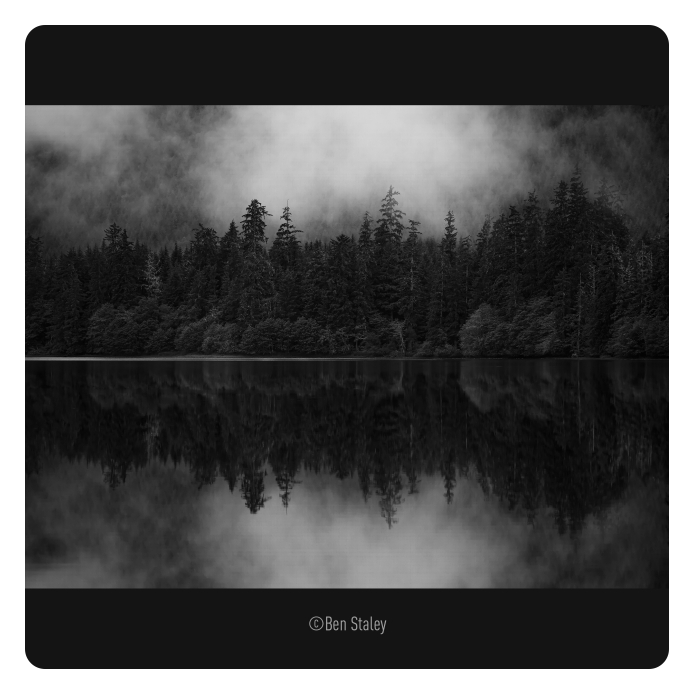monochrome shot of a forest lake, Panasonic Lumix G9 II