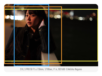 Panasonic LUMIX S1II aspect ratio comparisons