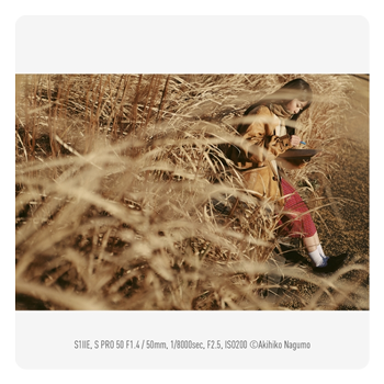sample image of a woman in a wheat field taken with the Panasonic LUMIX S1IIE