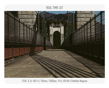 real time lut example of a bridge taken with the Panasonic LUMIX S1IIE