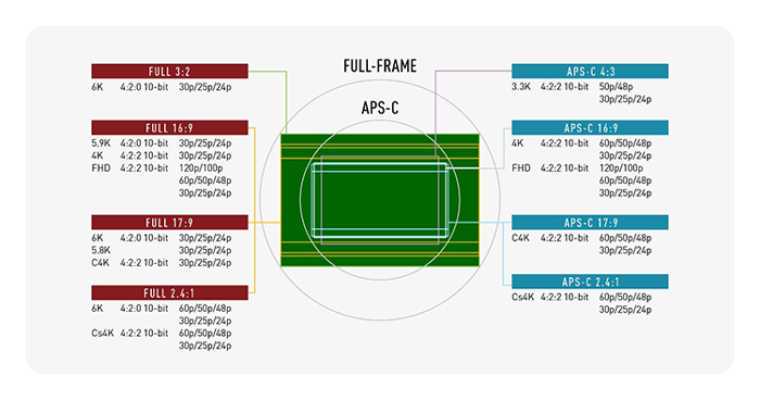 breakdown of the Panasonic LUMIX S1IIE sensor
