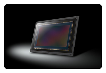 close up of the Panasonic LUMIX S1IIE sensor