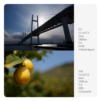 sample images at 24mm and 60mm taken with the LUMIX S 24-60mm F2.8