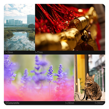 sample images showing various levels of zoom on the lumix lens