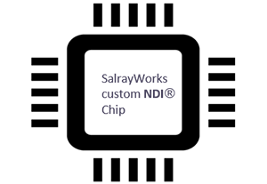 Salrayworks Sharon 30 Full NDI PTZ camera