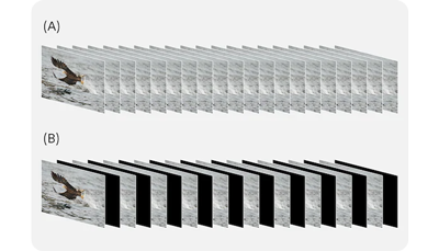 illustration of sony a1 black out free continuous shooting with stills overlayed on top of each other