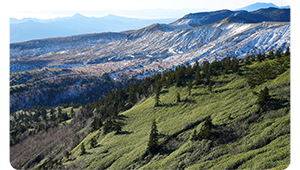 sony a1 sample image of nordic snow covered mountain landscape with green forest in the foreground
