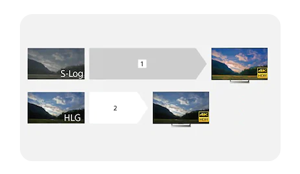 Sony Alpha 7S III Mirrorless Camera DSLM