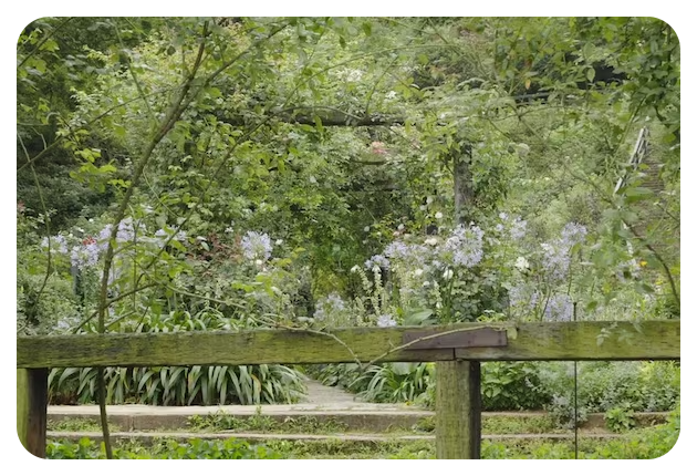 Sony FX30 sample of 10-bit 4:2:2 recording image of green garden path
