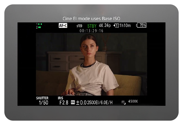 Sony FX30 Sample frame of video recording preview